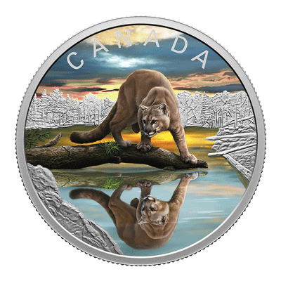 A picture of a 2024 $20 Silver - Wildlife Reflections: Cougar